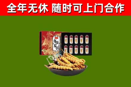 鸡西市回收冬虫夏草价格